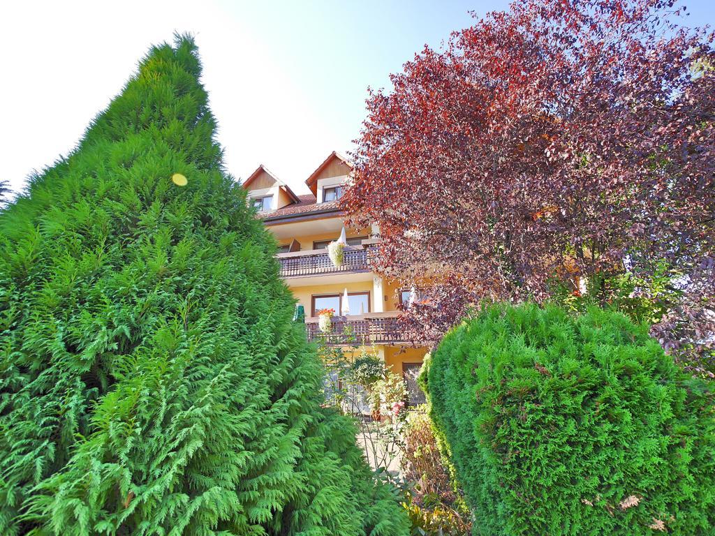 Ringhotel Garni Pflug Oberkirch  Exterior foto